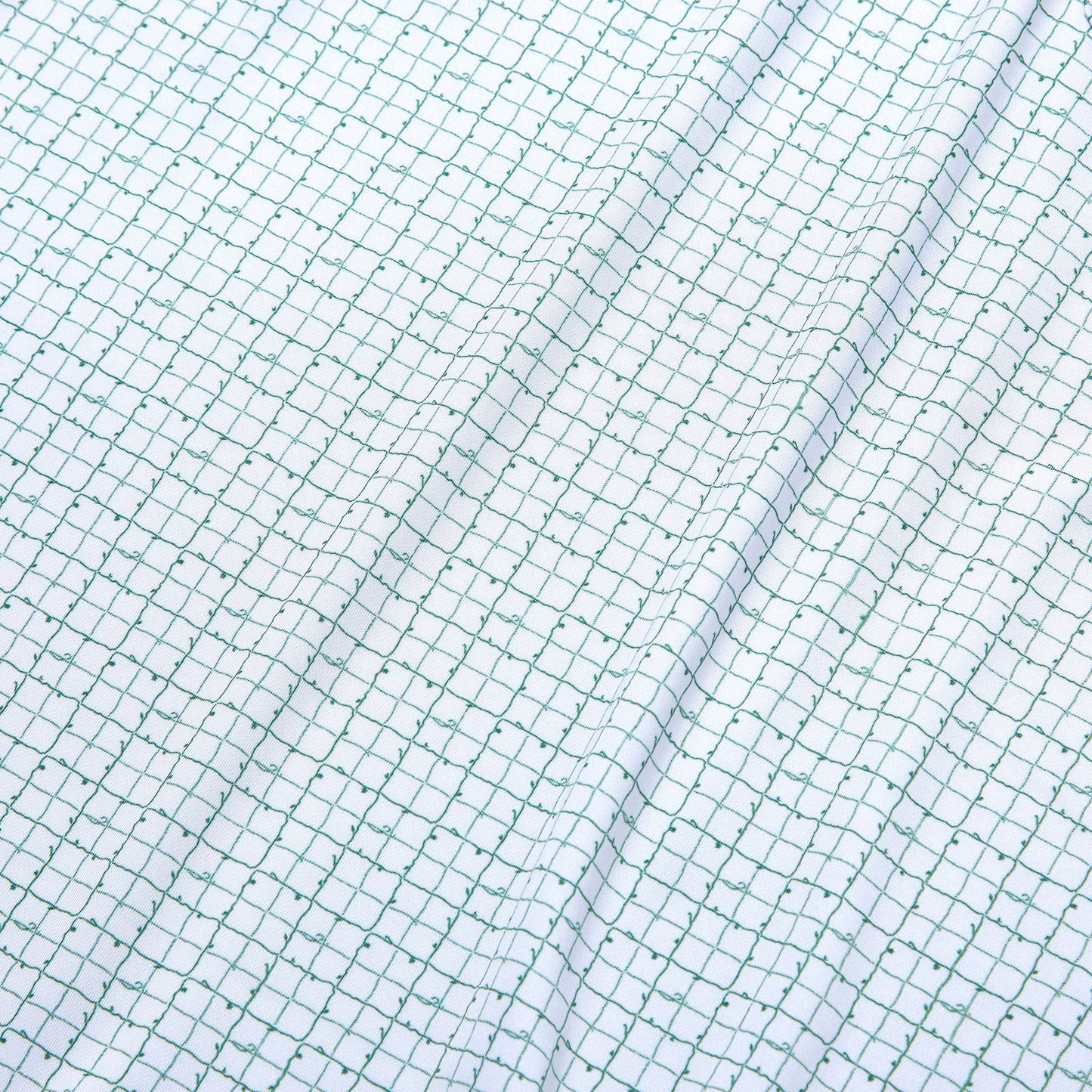 rajabrooke/ラジャブルック/柄SELESA POLO RAJA CHECK